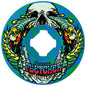 Slime Balls Greyson Fletcher Guest Chubbies 54mm 99D Wheels